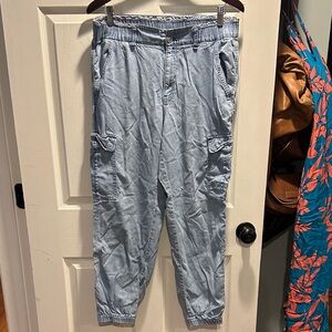 American Eagle Outfitters Light Blue Cargo Pants